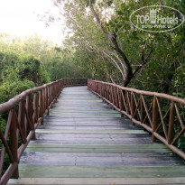 фото из отзыва ID 875358