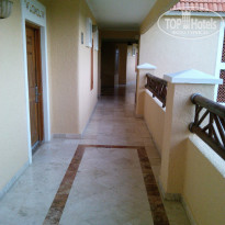 фото из отзыва ID 875358