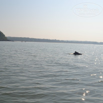 фото из отзыва ID 875405