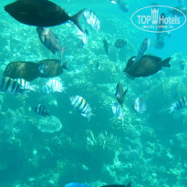 фото из отзыва ID 875590