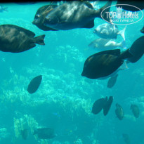 фото из отзыва ID 875590