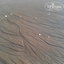 фото из отзыва ID 875604