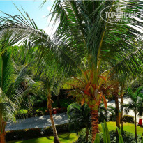 фото из отзыва ID 875012