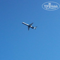 фото из отзыва ID 875863