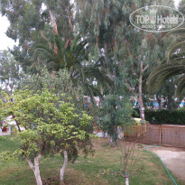 фото из отзыва ID 875124