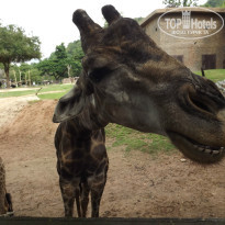 фото из отзыва ID 875991