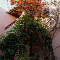 фото из отзыва ID 875537