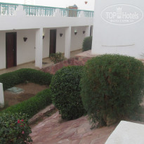 фото из отзыва ID 875029