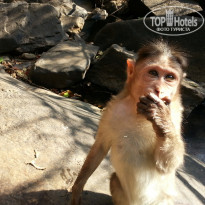 фото из отзыва ID 876014