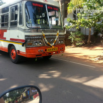 фото из отзыва ID 876014