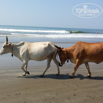 фото из отзыва ID 876014