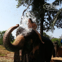 фото из отзыва ID 876014