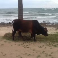 фото из отзыва ID 876164