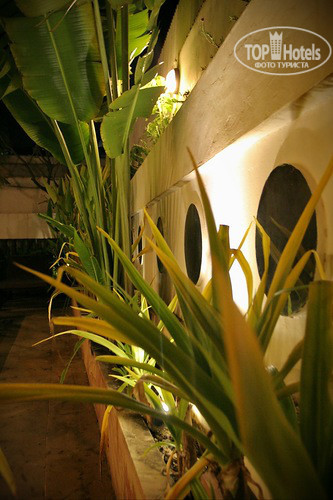 New photos from tourists Skyway Hotel 3*