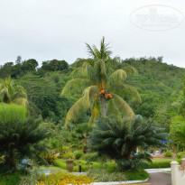 фото из отзыва ID 876224