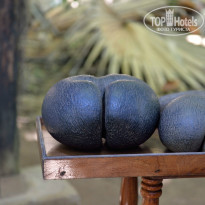 фото из отзыва ID 876224