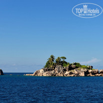 фото из отзыва ID 876224