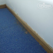 фото из отзыва ID 876095