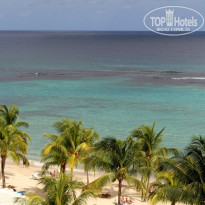 фото из отзыва ID 876431