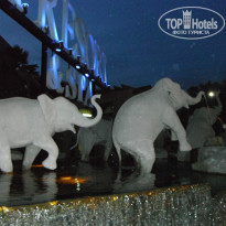 фото из отзыва ID 876492