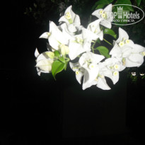 фото из отзыва ID 876492