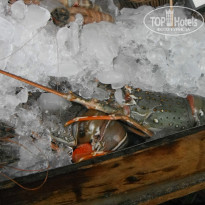 фото из отзыва ID 876492