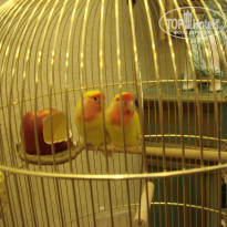 фото из отзыва ID 876571