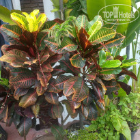 фото из отзыва ID 876637