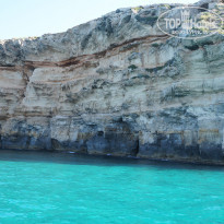 фото из отзыва ID 876722