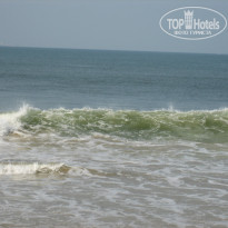 фото из отзыва ID 876745