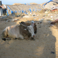 фото из отзыва ID 876745