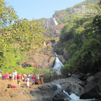 фото из отзыва ID 876745