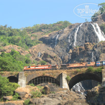 фото из отзыва ID 876745