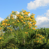 фото из отзыва ID 876784