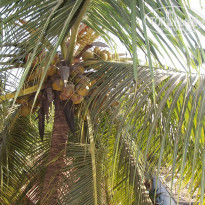 фото из отзыва ID 876790