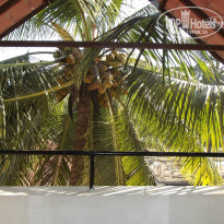 фото из отзыва ID 876790