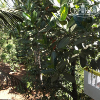 фото из отзыва ID 876790