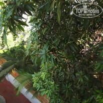 фото из отзыва ID 876790