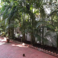 фото из отзыва ID 876790