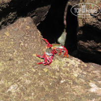 фото из отзыва ID 876802