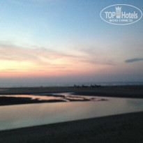 фото из отзыва ID 876874