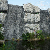 фото из отзыва ID 876925