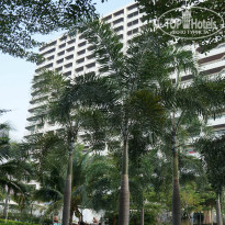 фото из отзыва ID 876925