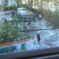 фото из отзыва ID 876309