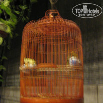 фото из отзыва ID 876289