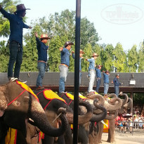 фото из отзыва ID 877035