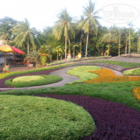 фото из отзыва ID 877035