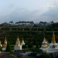 фото из отзыва ID 877035