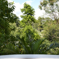 фото из отзыва ID 877096