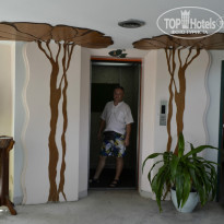 фото из отзыва ID 877096